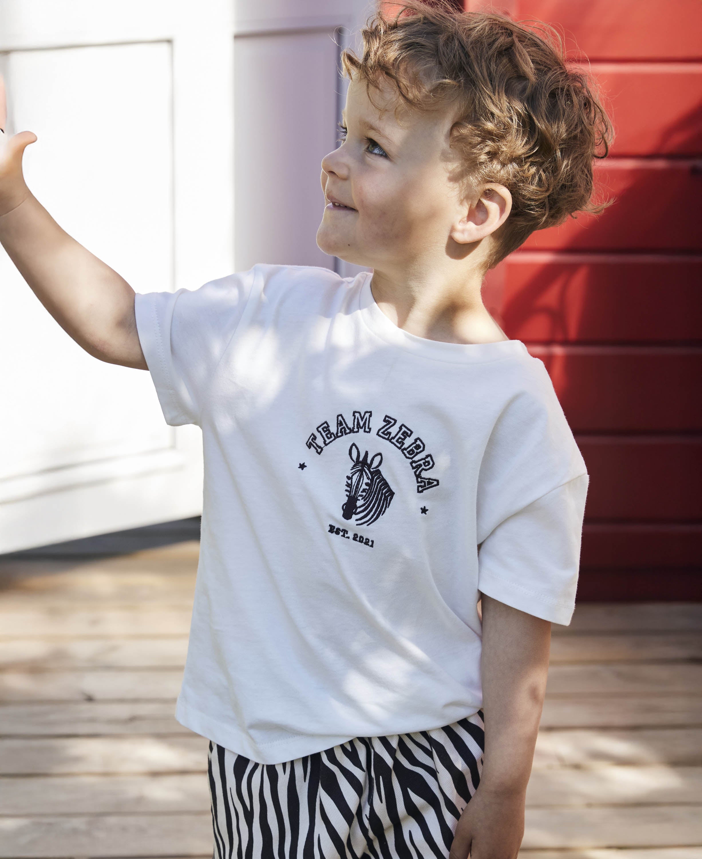 FLIINK / SOMMER ZEBRA T-SHIRT - CLOUD DANCER
