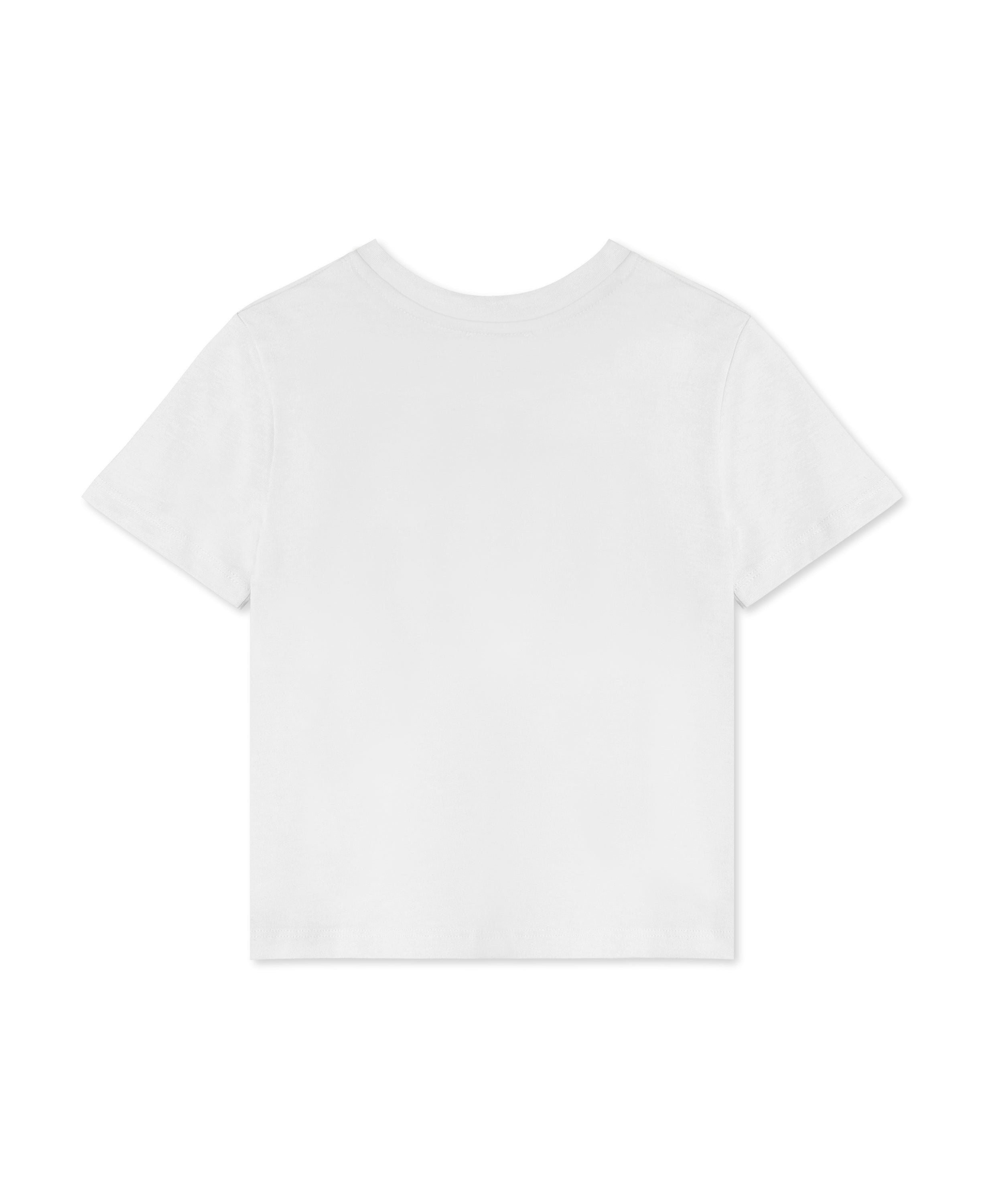 FLIINK / SOMMER ZEBRA T-SHIRT - CLOUD DANCER