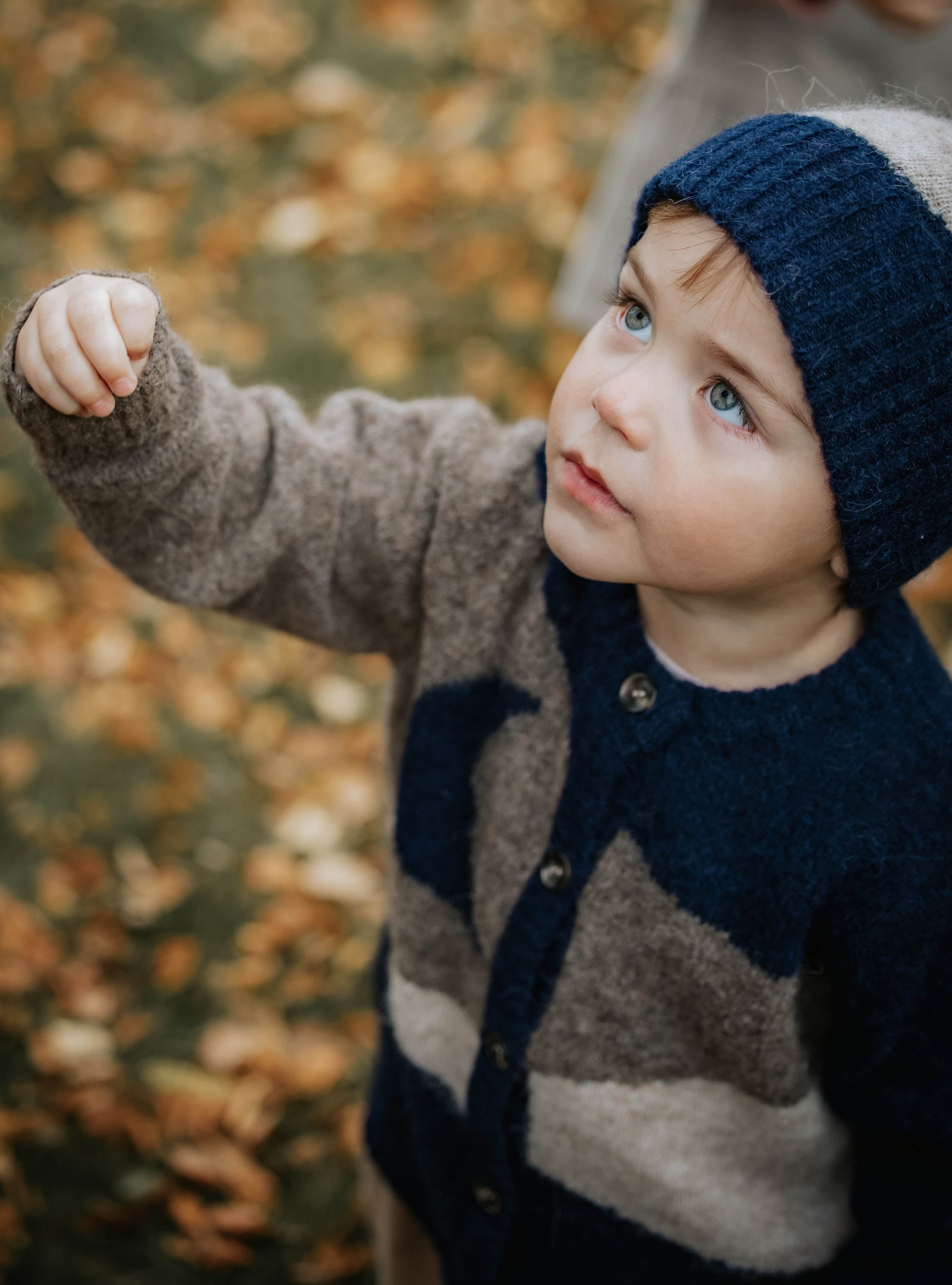 FLIINK / STAR MOON CARDIGAN - PINE BARK