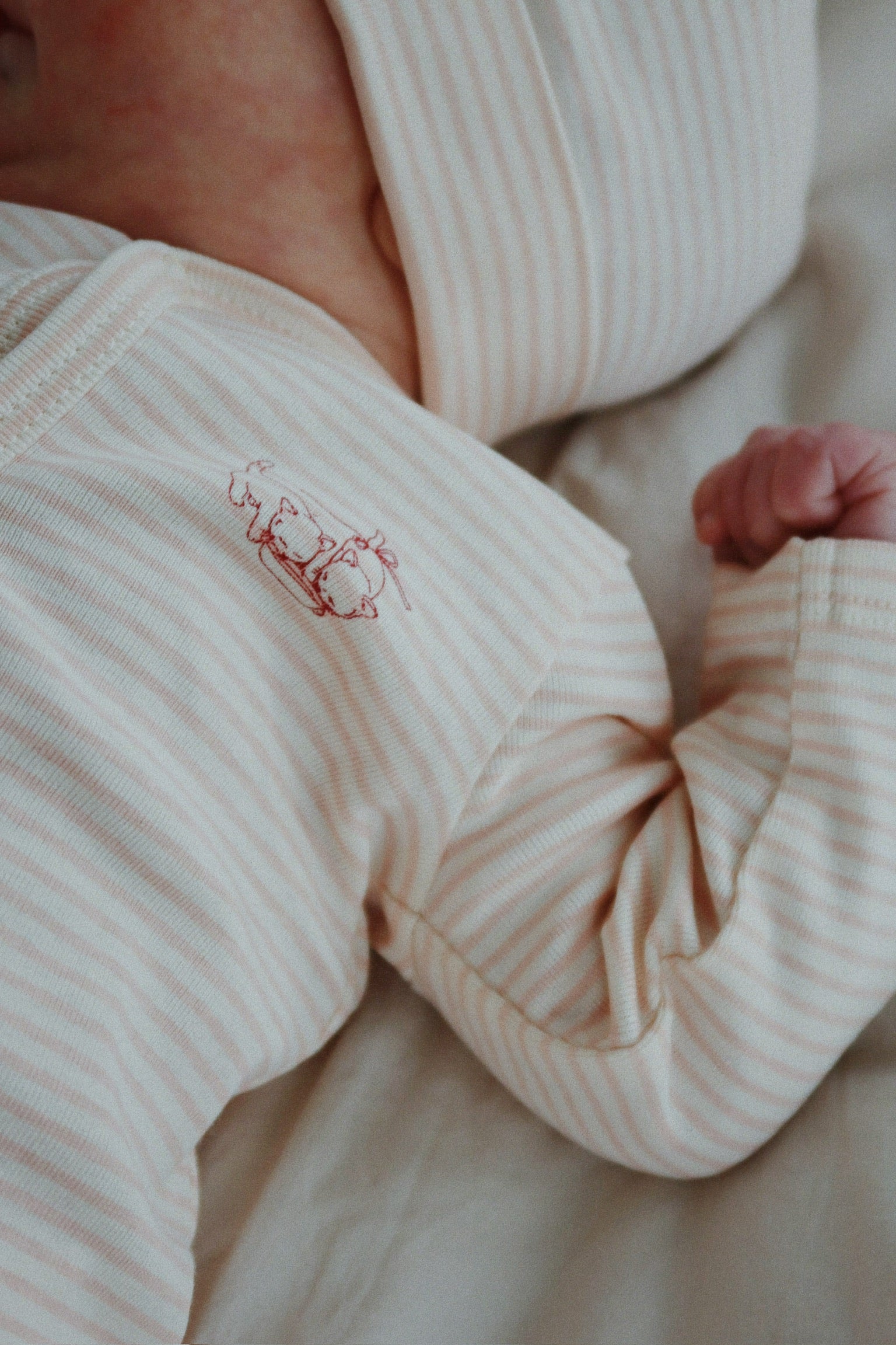 FANGA / FIO HELDRAGT - TEA STRIPE CAMEO