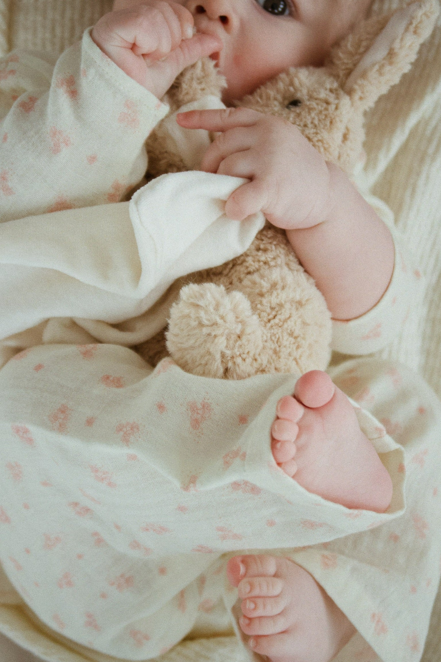 FANGA / PICCOBINO NUSSEKLUD